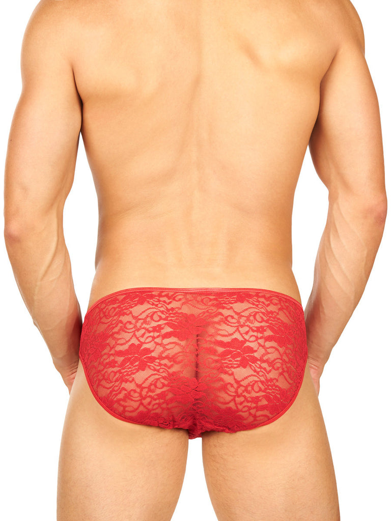 Summer Satin and Lace Brief