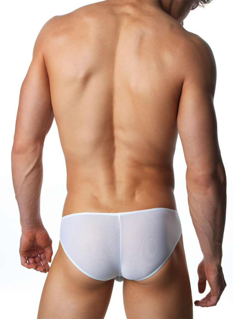 Well-Endowed Brief