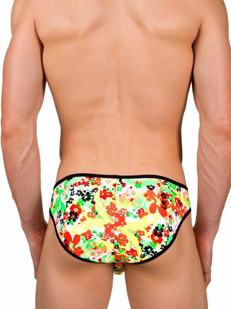 Spring Swing Brief