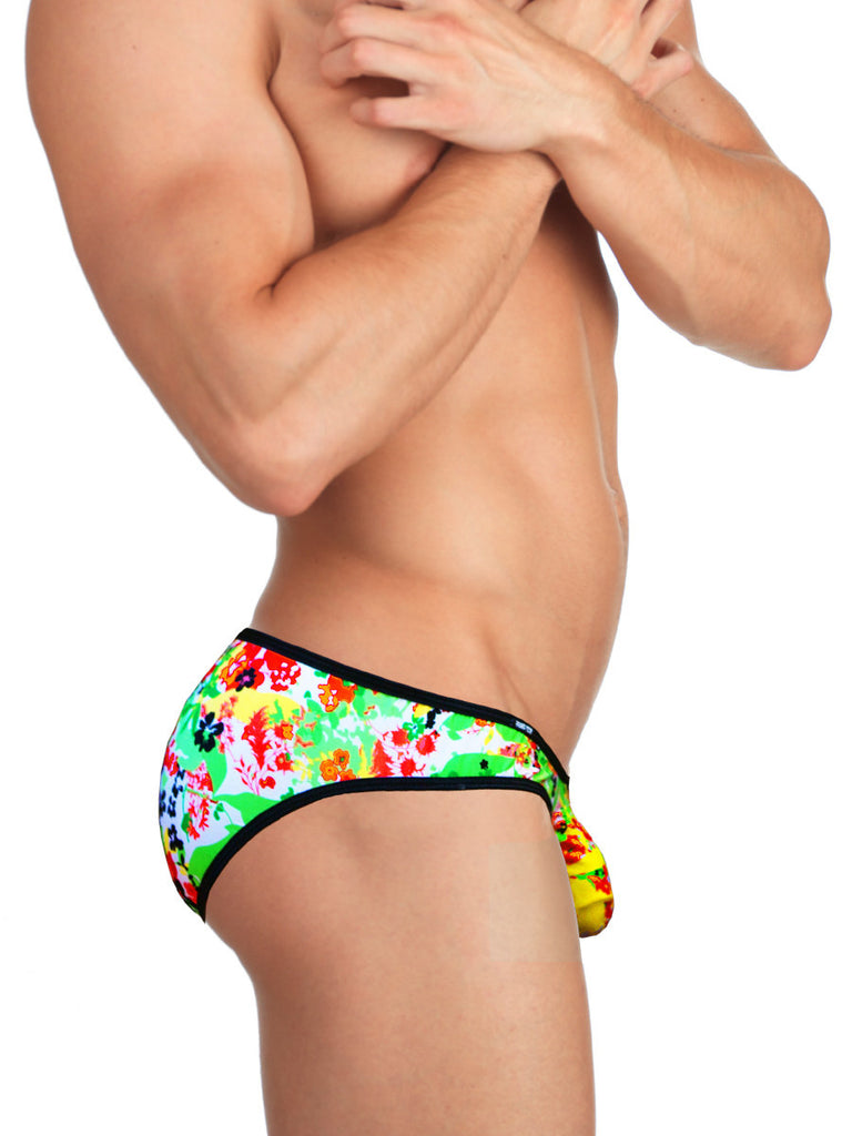 Spring Swing Brief
