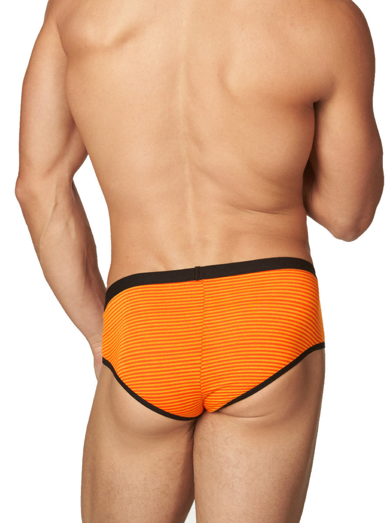 Pumpkin Patch Brief