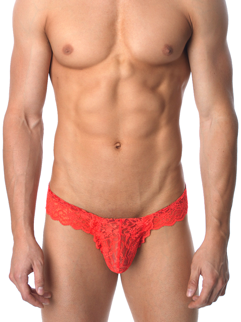 The Lace Brazil Brief